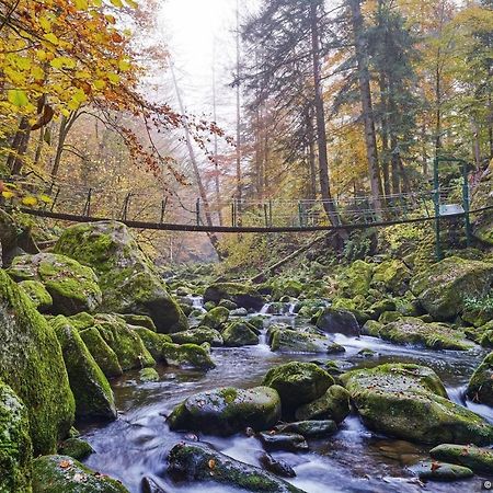 Pension Zum Schmidbaecker Ξενοδοχείο Freyung Εξωτερικό φωτογραφία